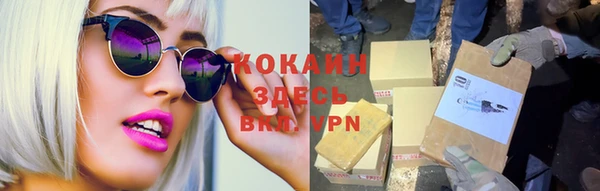 индика Балахна