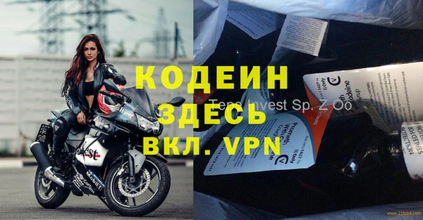 индика Балахна