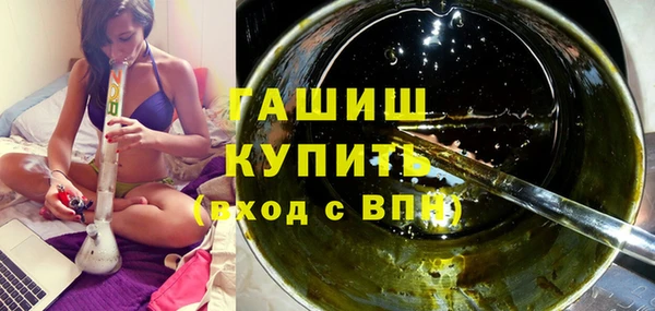 индика Балахна