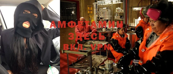 индика Балахна