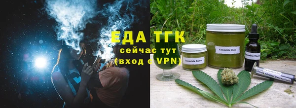 индика Балахна